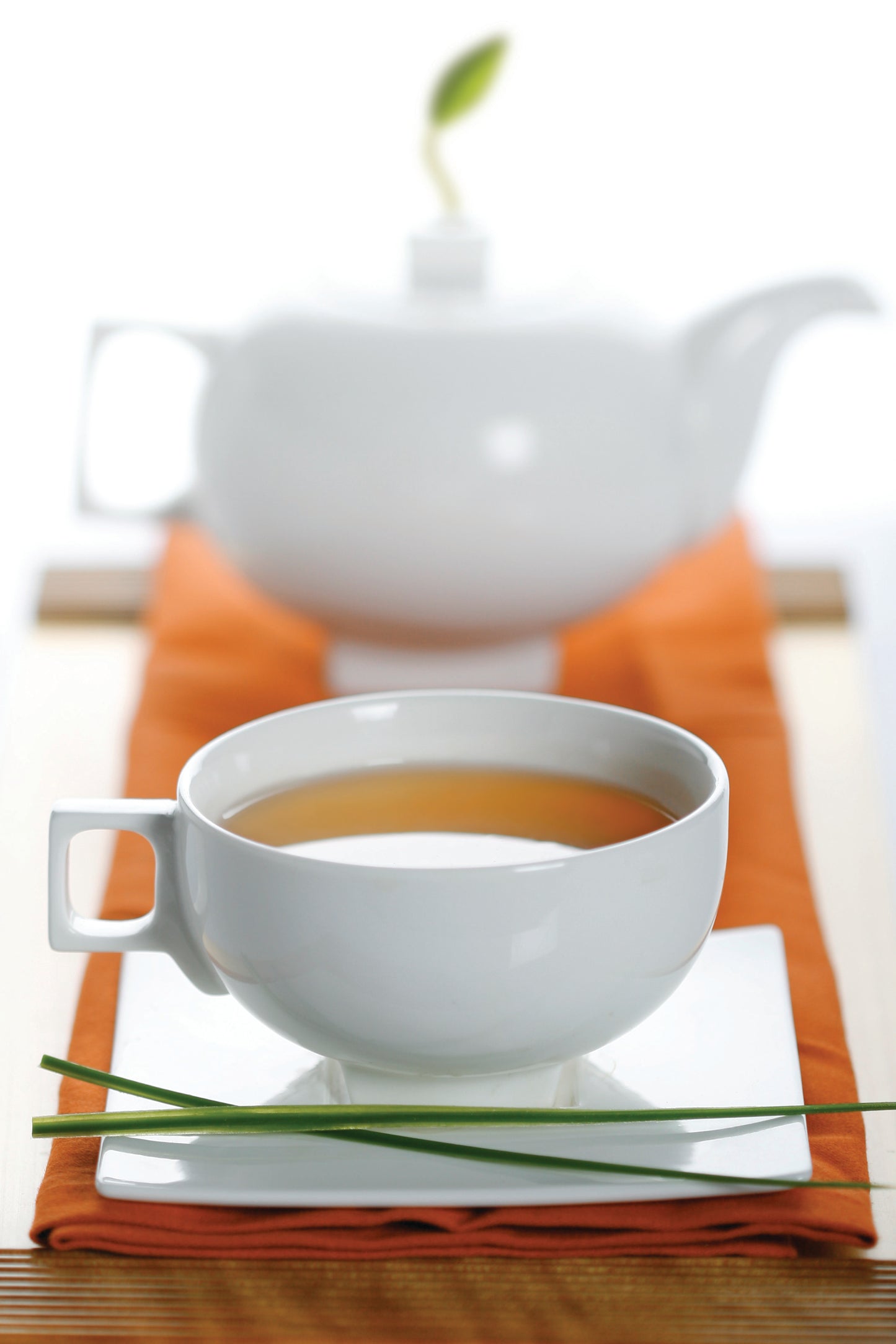 Solstice Teacup & Saucer
